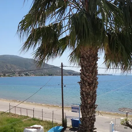 شقة Aggeliko